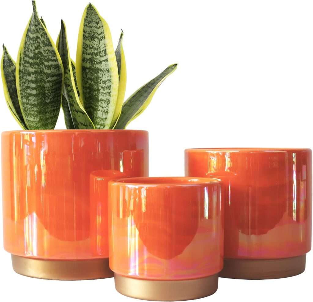 A Guide to Choosing the Best Large Indoor Plant Pots for Your Home